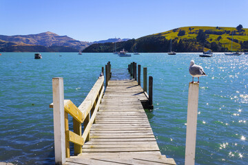 Fototapeta premium Wooden Wharf at Akaroa Beach on the Banks Peninsula, southeast of Christchurch, South Island, New Zealand