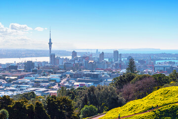 Obraz premium View to Auckland New Zealand from Mount Eden, Auckland, New Zealand