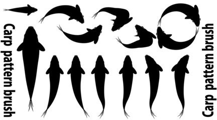 colored carp silhouette brush.