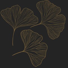 Ginkgo leaves botanical illustration Floral background Luxury elegant, gold. Illustration of ginkgo biloba leaves. Background with golden leaves. Ginkgo branches for invitations