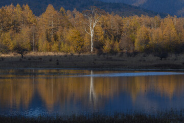 秋の小田代ヶ原