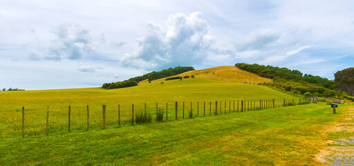 Fototapeta na wymiar Landscape Scenery of Duder Regional Park, Auckland New Zealand; Panoramic View