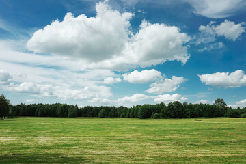 Summer meadow landscape. Rural forest countryside background. Blue cloudy sky over country farm land. Vacation relax far away from crowded city view.