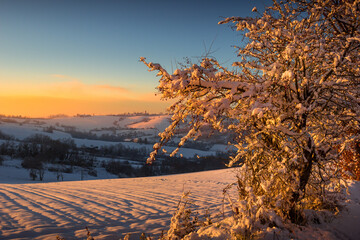 Winter scene at sunset in the Monferrato hills, Piedmont, Italy.