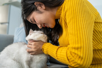 Asian woman holding and play with little cat with happiness at home. 