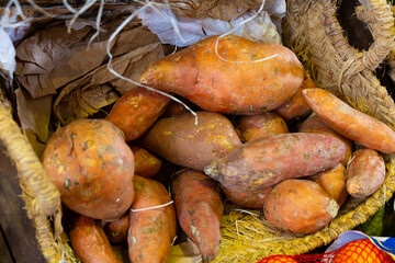 Vegetable, harvest, food and sale concept - close up of sweet potatoes