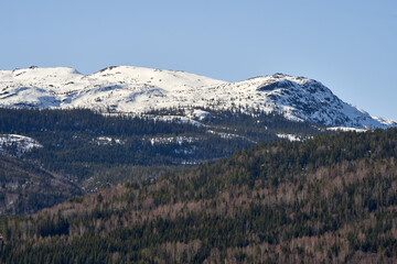 Scenery of Norefjell with a snowy mountain-top and deciduous trees during springtime in Norway