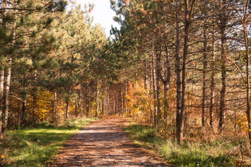 Fototapeta premium Sunny autumn day view along the pathway on Humber Valley Heritage Trail near Kleinburg, Ontario, Canada