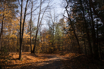 Sunny autumn day view along the pathway on Humber Valley Heritage Trail near Kleinburg, Ontario, Canada