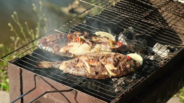 Sea bass or grouper fish grilled over charcoal. Close-up shot cooking seafish Sparus aurata or Dorado with aromatic spices and lemon on barbecue grill plate Baking roasting marinated delicious seafood