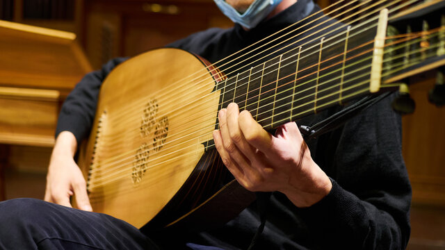Person musician plays a baroque lute theorbo with his hands the strings during a concert.