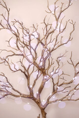 Christmas Background