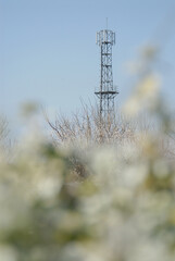 春の花に囲まれて立つ鉄塔