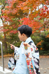 3歳男の子の七五三詣り