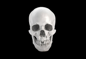 White Human skull full face on Black Isolated Background. The concept art of death, horror. Design for print, poster. A symbol of spooky Halloween, Virus, immortal, pirat. 3d rendering illustration..