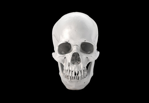 White Human skull full face on Black Isolated Background. The concept art of death, horror. Design for print, poster. A symbol of spooky Halloween, Virus, immortal, pirat. 3d rendering illustration..