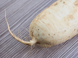 신선한 유기농 뿌리채소 무