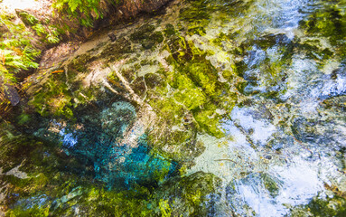 Landscape Scenery of Clean and Clear Water Stream at Hamurana Rotorua, New Zealand