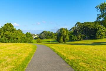 Landscape Scenery of Monte Cecilia Park Hillsborough, Auckland New Zealand
