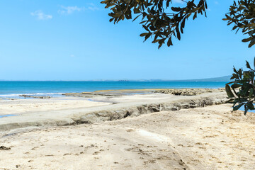 Landscape View of Mairangi Bay Beach Auckland, New Zealand; Place for Picnic and Relaxing