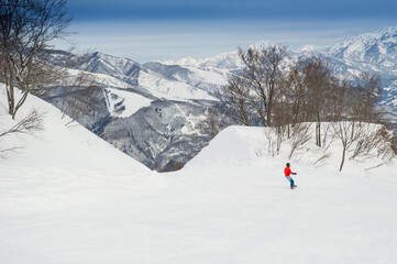 Naklejka na ściany i meble Snowboarder in powder snow Hakuba Japan