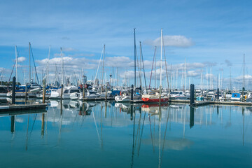 Fototapeta na wymiar Boats at Bayswater Marina Auckland Fishing Spot, Auckland New Zealand