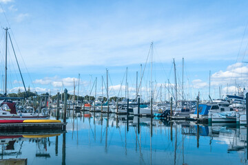 Fototapeta premium Boats at Bayswater Marina Auckland Fishing Spot, Auckland New Zealand