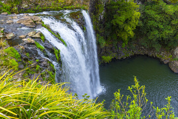 Top Cliff of Whangarei Falls, Whangarei North Island New Zealand