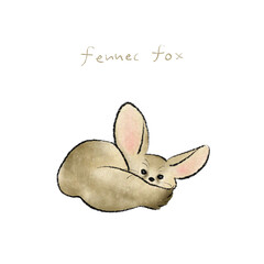 フェネックギツネ手描きイラスト素材