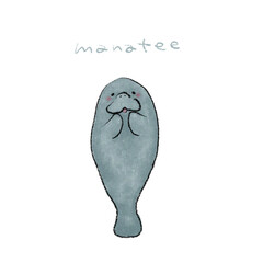 マナティ手描きイラスト素材