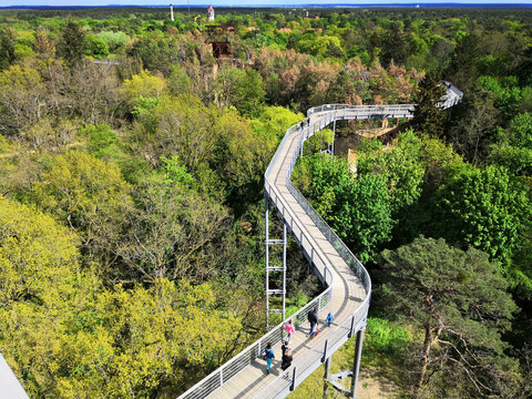 Beautiful shot of people walking on the beelitz Canopy path in Beelitz, Germany