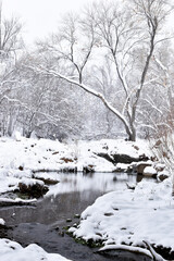 Cold Stream