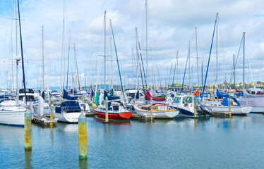 Fototapeta na wymiar Boats at Bayswater Marina Auckland Fishing Spot, Auckland New Zealand