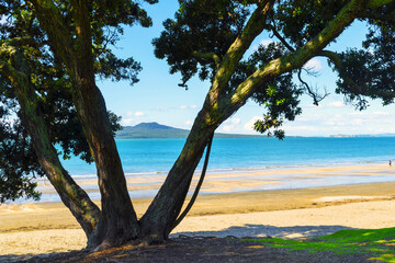 Panoramic View of Takapuna Beach Auckland New Zealand