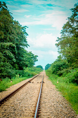 Fototapeta premium railway in the woods