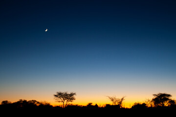 Beautiful Etosha Sunset with Sickle moon in Namibia - obrazy, fototapety, plakaty