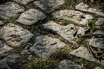 Closeup shot of a stony road under sunlight