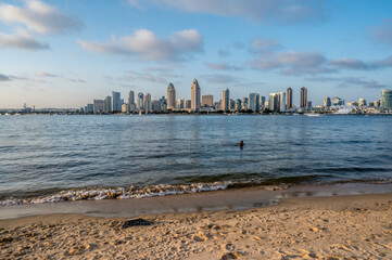 Person swims in San Diego bay with skyline in background