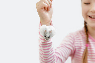 A Dzungarian hamster is sitting in the sleeve of a jacket of a cheerful little girl. Child play...