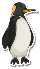 Penguin animal cartoon sticker