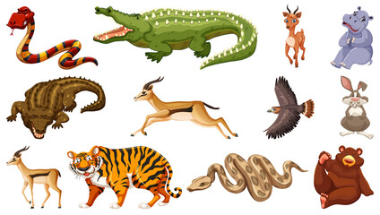 Set of different wild animals cartoon characters