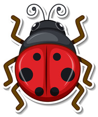 Obraz premium Cute ladybug animal cartoon sticker