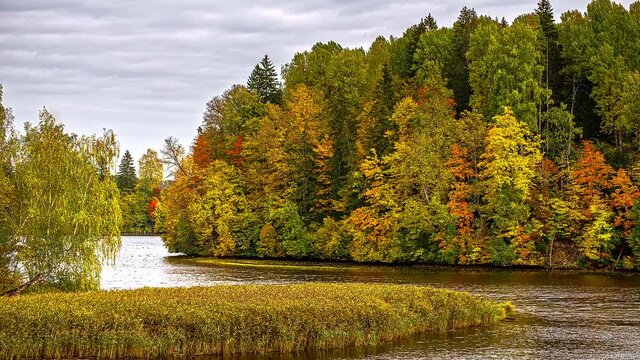 Autumn Landscape By The Forest River In Daugavas Loki Nature Park, Latvia. - Wide Shot