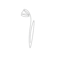 Spring flower on white background line drawing vector illustration