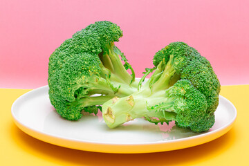 Two Fresh and Raw Pieces of Broccoli on White Plate. Uncooked Green Cabbage. Vegan and Vegetarian Culture. Raw Food. Healthy Eating and Vegetable Diet