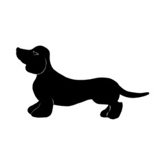 Dachshund dog, black silhouette on a white background.Vector illustration, hand drawing.