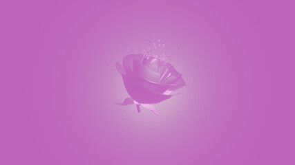 Pink rose is splashing by many droplets with white pink gradient background (3D Rendering)