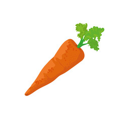 orange carrot design