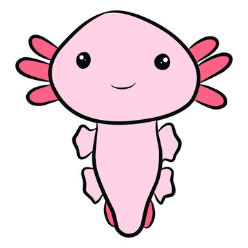 Cute Kawaii Axolotl Character Illustration Vector