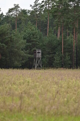 Hochsitz Jagd Hochstand an einer Wiese mit Tannen-Wald im Hintergrund